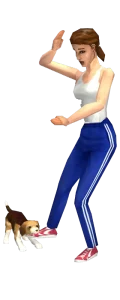 Renders
