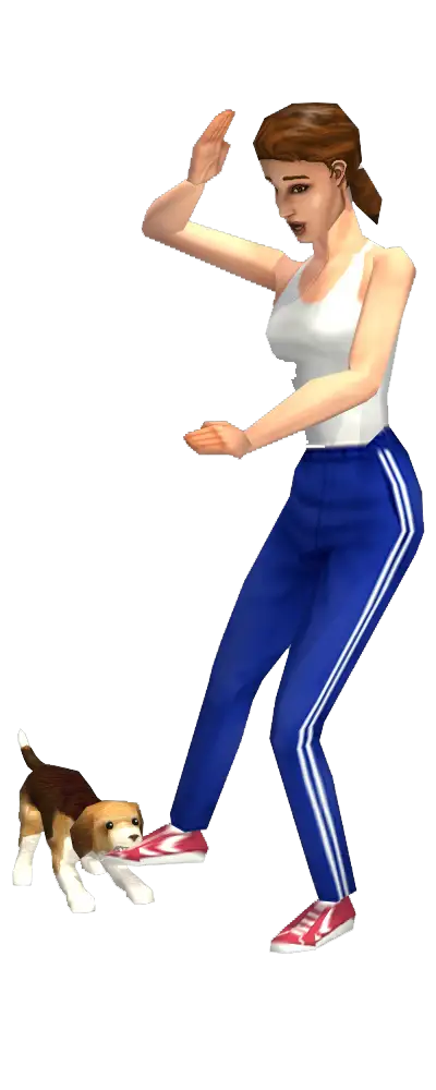 Renders