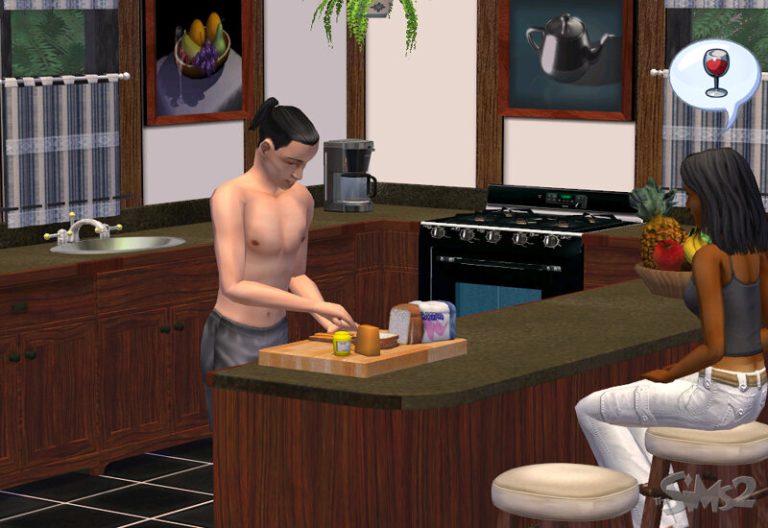 the-sims-2-misc-official-gameplay-screenshot-017