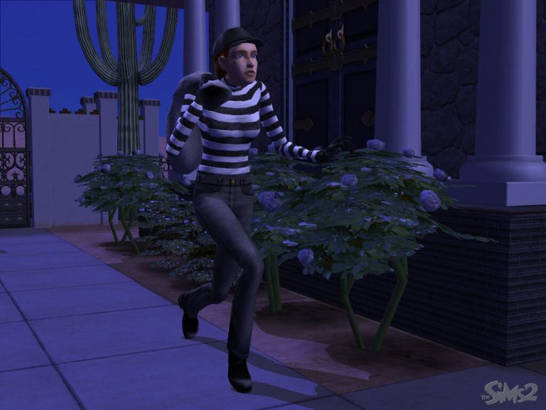 Screenshot of The Sims 2 showing a nighttime outdoor scene. A Sim dressed in a classic burglar outfit, complete with a black and white striped shirt, black beanie, and eye mask, is sneaking across a paved walkway. They are carrying a large grey sack over their shoulder and walking past bushes with blue flowers in front of a house. The classic The Sims 2 logo is visible in the bottom right corner.