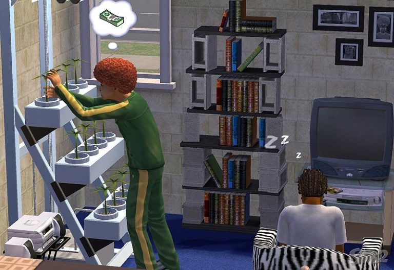 Indoor Gardening Alt text: Screenshot of The Sims 2 showing a room with two Sims. One Sim in a green tracksuit is tending to tall indoor plants near a window, with a thought bubble showing a stack of money. Another Sim is sitting in a zebra-print chair, sleeping with 'Z's floating above their head. A tall bookshelf and a television are visible in the background.