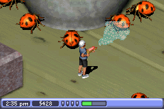 the-sims-2-gba-giant-ladybug-spray-gameplay-screenshot