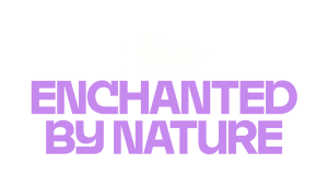 The Sims 4 Enchanted by Nature