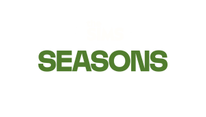 The Sims 4 Seasons