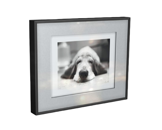 the-sims-2-ikea-home-stuff-render-framed-dog-portrait