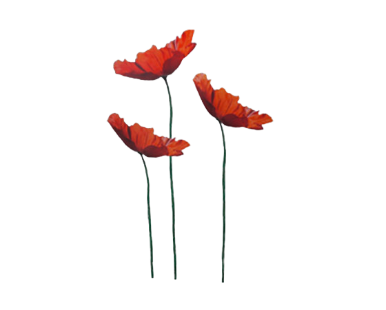 the-sims-2-ikea-home-stuff-render-red-poppy-flower-arrangement