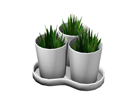 the-sims-2-ikea-home-stuff-render-three-potted-grass-plants