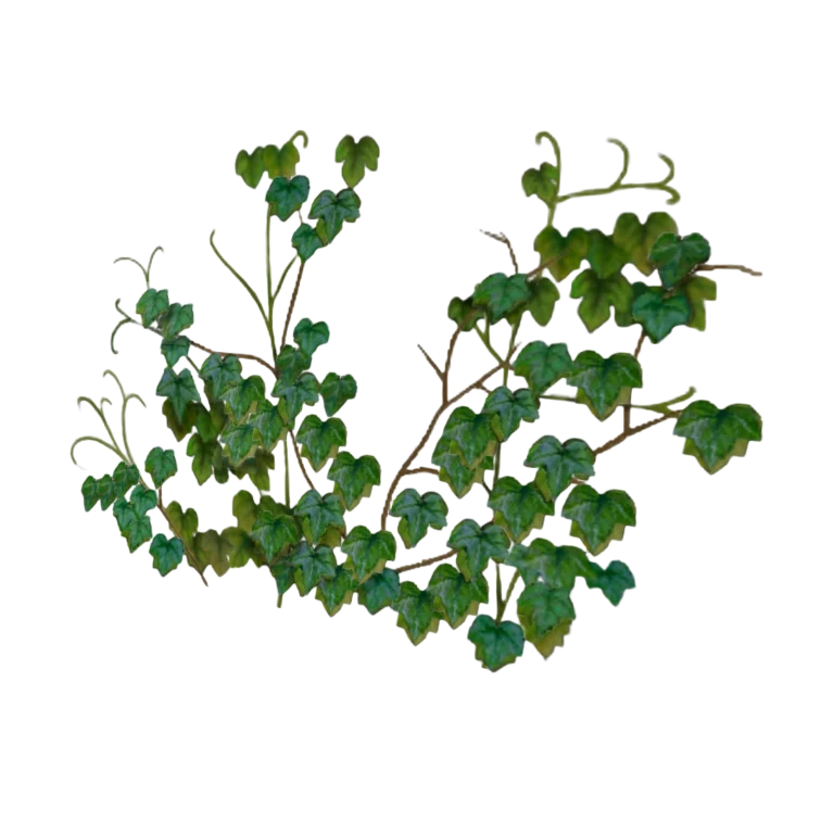 the-sims-2-mansion-and-garden-stuff-render-climbing-ivy-plant
