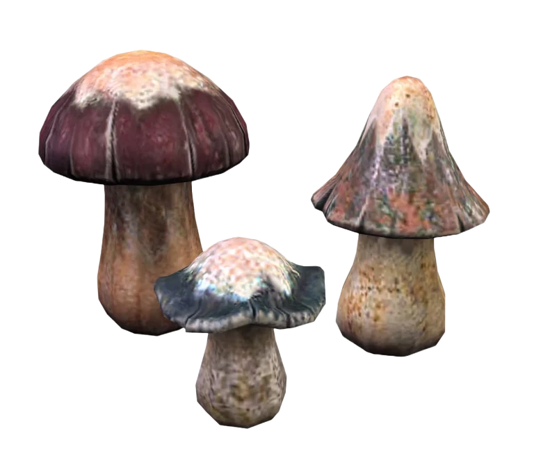 the-sims-2-mansion-and-garden-stuff-render-decorative-mushroom-cluster