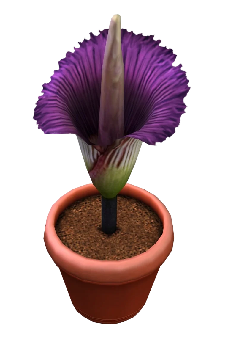 the-sims-2-mansion-and-garden-stuff-render-potted-purple-corpse-flower