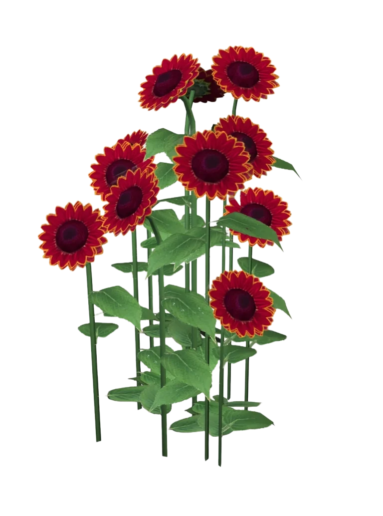 the-sims-2-mansion-and-garden-stuff-render-red-gerbera-flower-plant